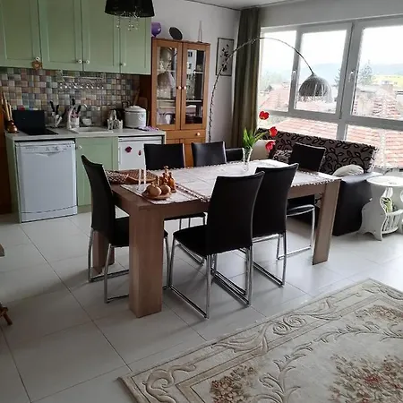 Апартамент Таня Apartment Velingrad